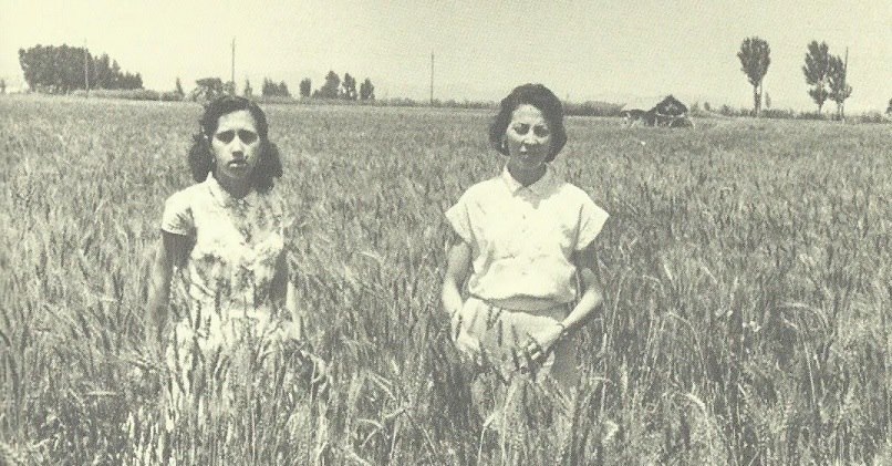 Mujeres en la Partida del Quint, Mislata, en la década de 1950. Al fondo se puede observar la extensa huerta que rodeaba a Mislata.