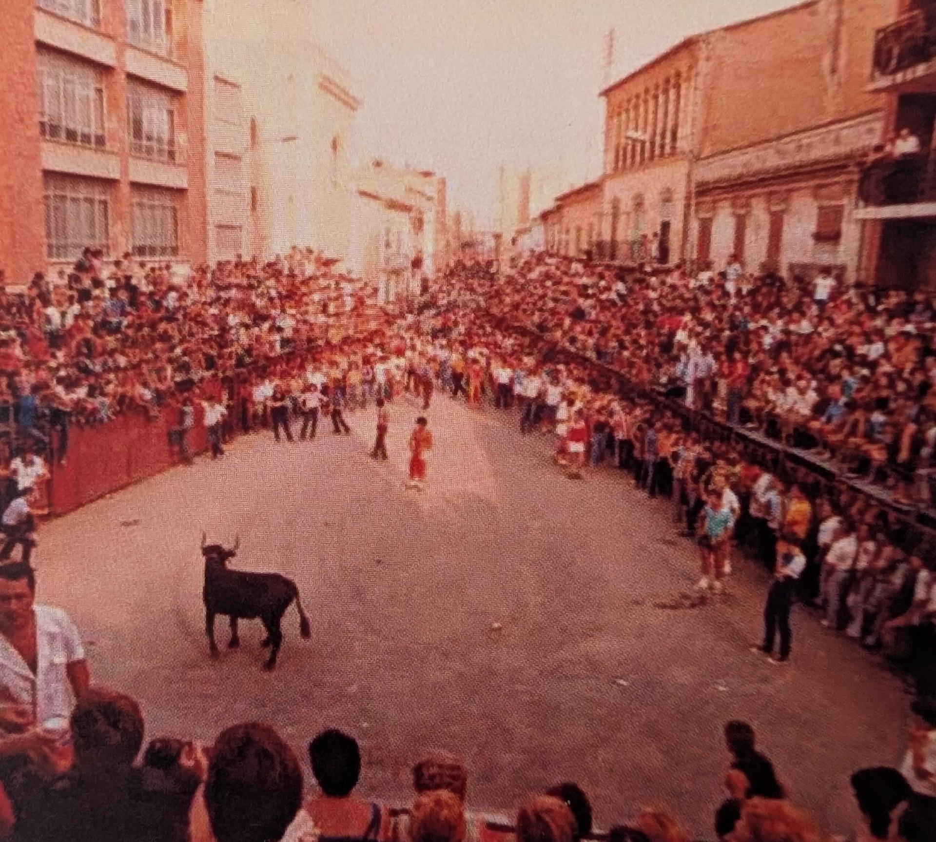 Celebraciones taurinas en la plaza de la Constitución.