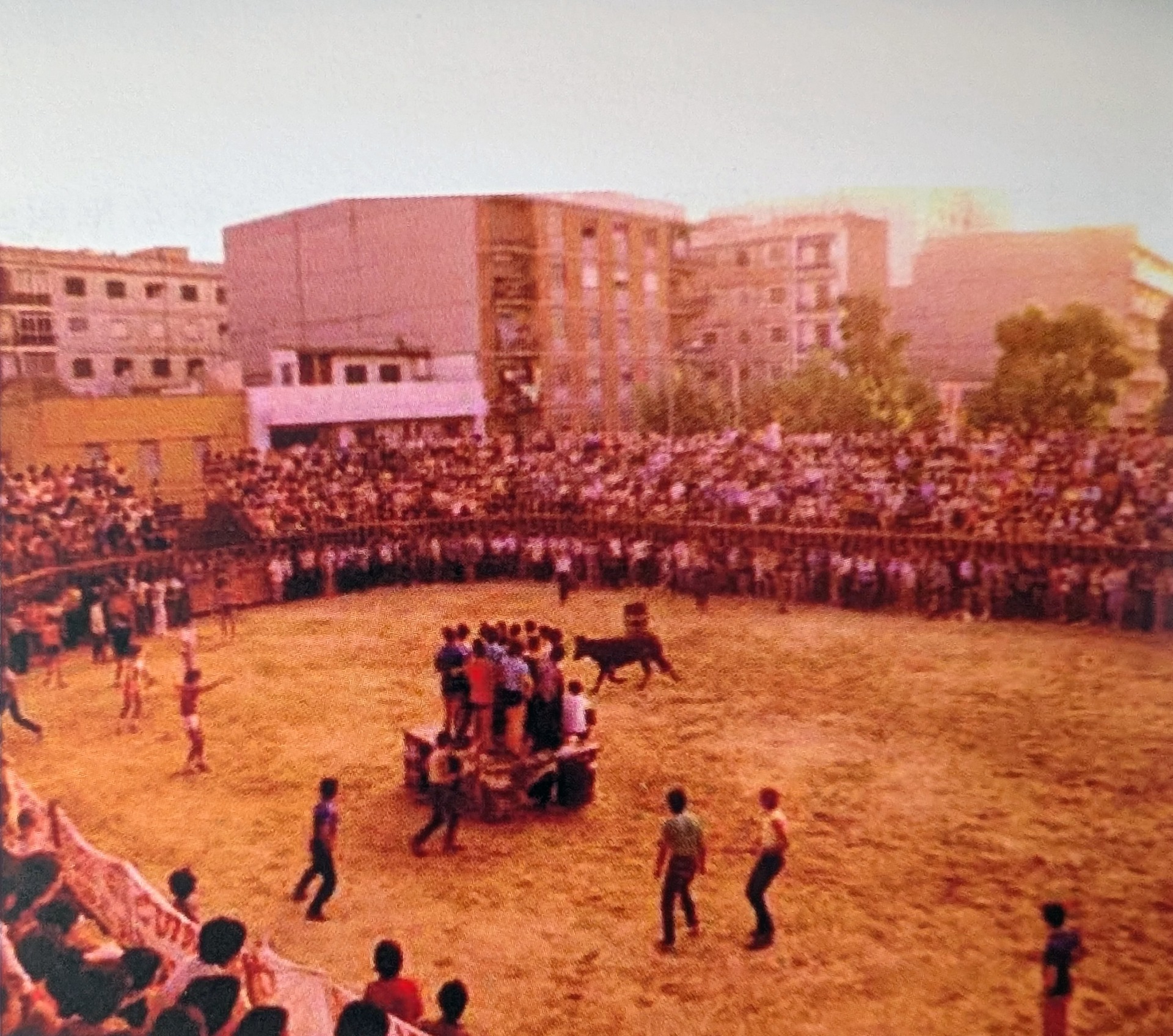 Celebraciones taurinas en la plaza Príncipe de Asturias.
