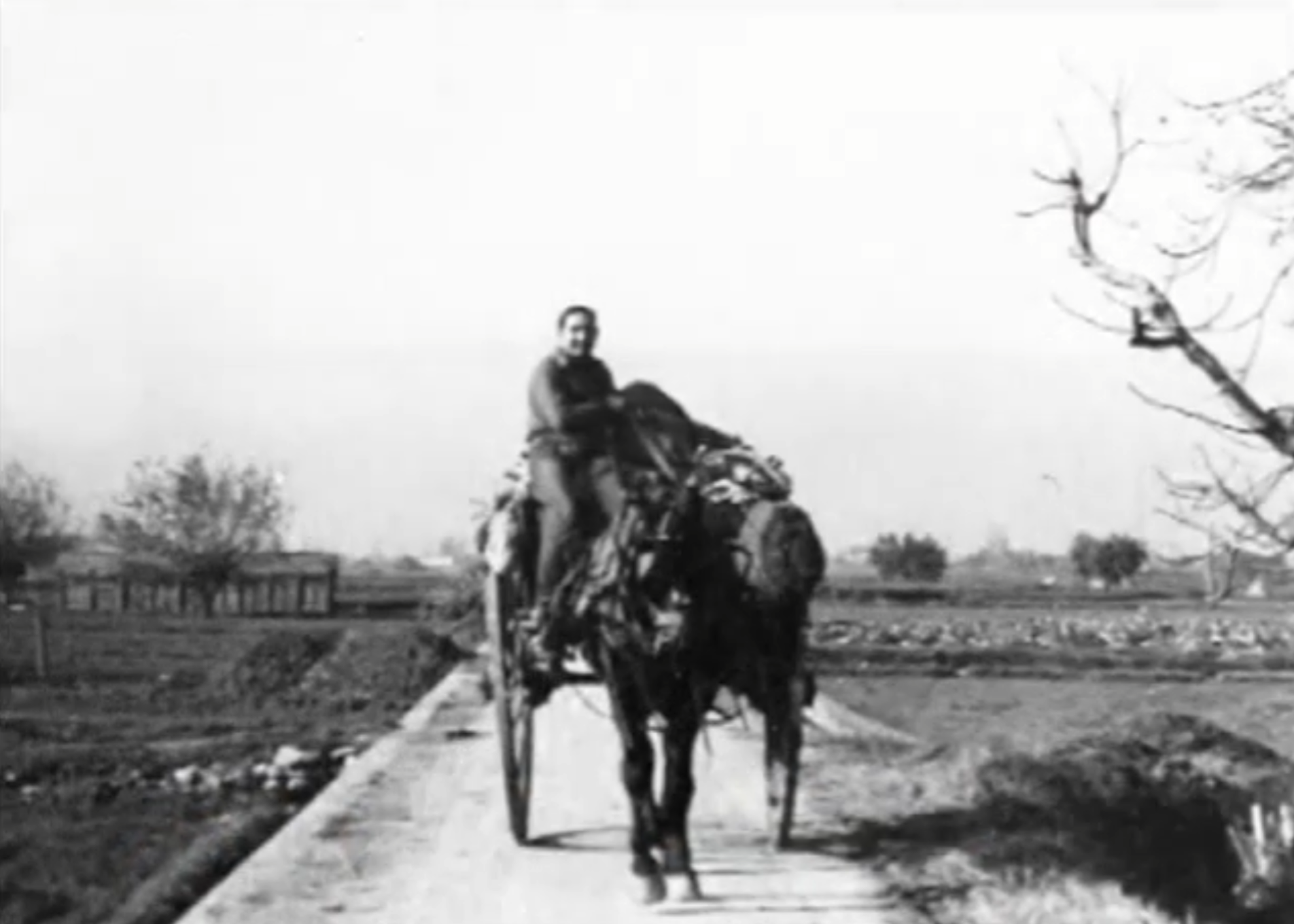 Camino en los alrededores de la Partida de l'Almassil.