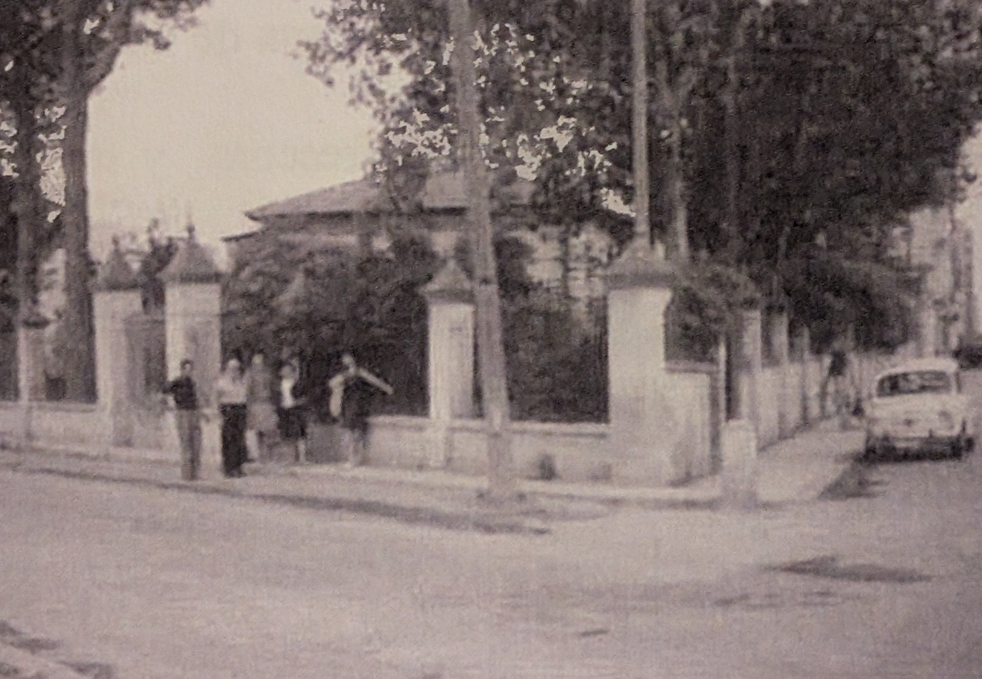 L'Hort de Carsí desde la avenida Gregorio Gea.